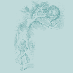 ��������ǭ