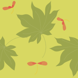 �����Ǥμ��դȼ� 