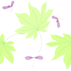 �����Ǥμ��դȼ� 