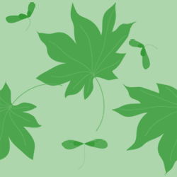 �����Ǥμ��դȼ� 