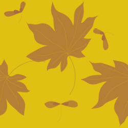 �����Ǥμ��դȼ� 