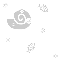 �����Ĥ��˵� 