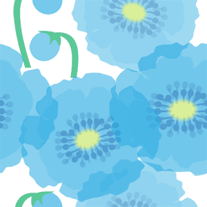 �ҥޥ��Τ��� 