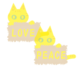 ����ʿ��