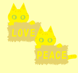 ����ʿ��