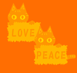 ����ʿ��