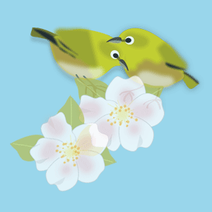 ���ɤ��᥸��