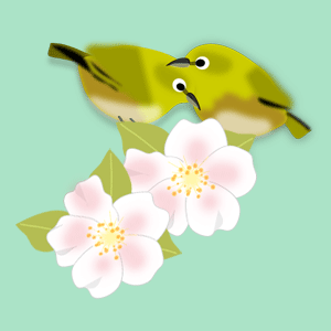 ���ɤ��᥸��