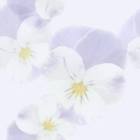 �������ߥ�