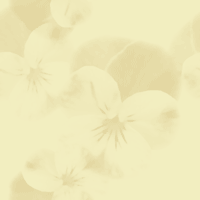 �������ߥ�