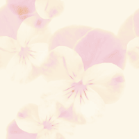 �������ߥ�