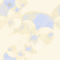 �������ߥ�