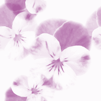 �������ߥ�