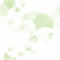 �������ߥ�