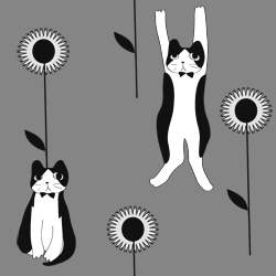 �ƥ�����