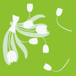 ���塼��åפβ�«